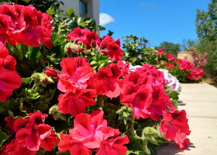 Beautiful 2 Bedroom Villa With Mountain Views