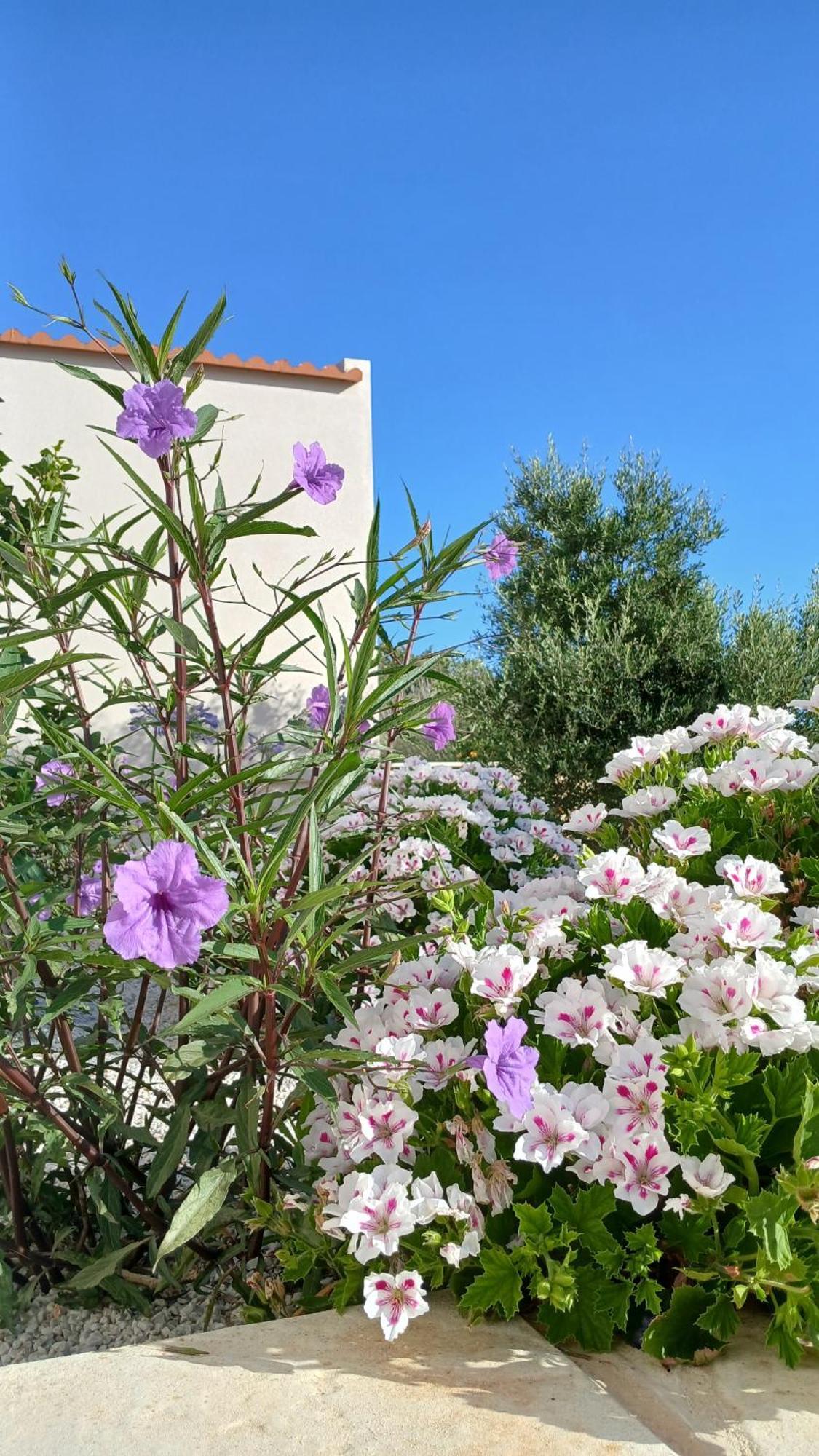 Villa Beautiful 2 Bedroom With Mountain Views Armenoi (Rethymno)